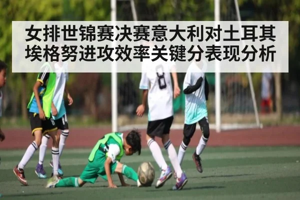女排世锦赛决赛意大利对土耳其埃格努进攻效率关键分表现分析 - c7c7.app