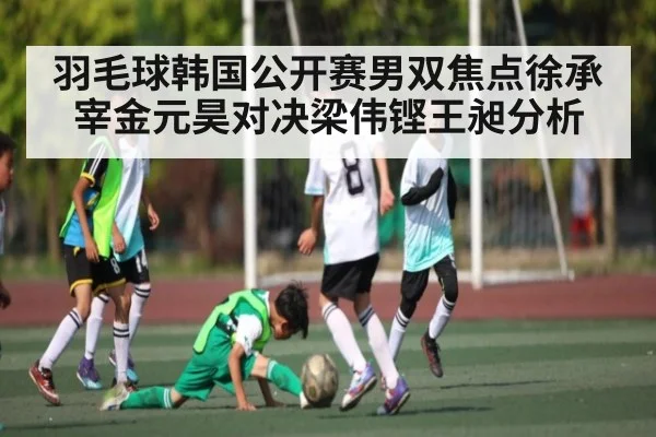 羽毛球韩国公开赛男双焦点徐承宰金元昊对决梁伟铿王昶分析
